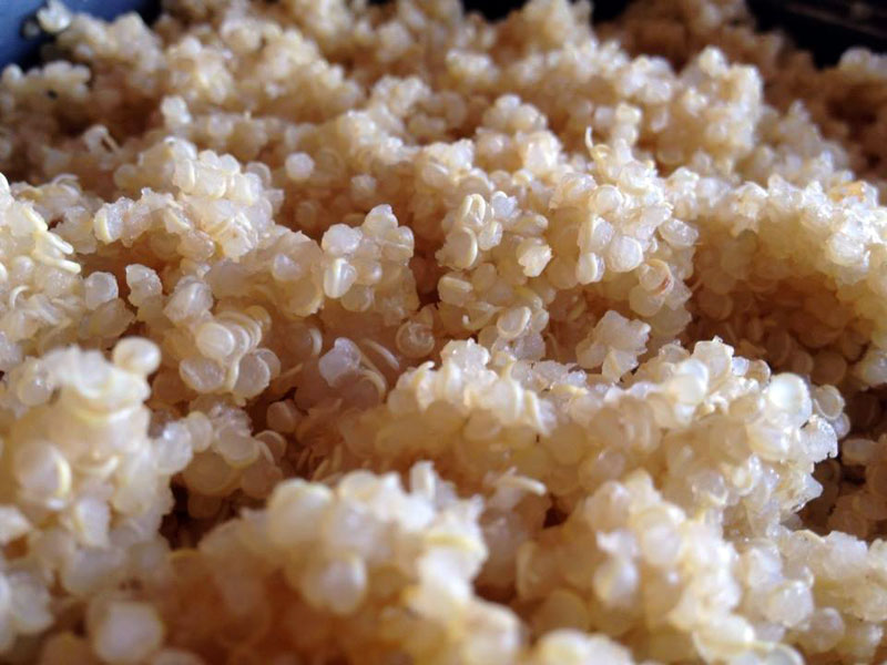 How to cook quinoa – family of cooks